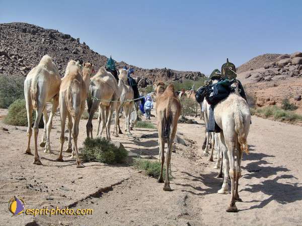 Nom de l'image : l1060396-1 — Description :  Sur les pas de Charles de Foucault - Tamanrasset-Assekrem