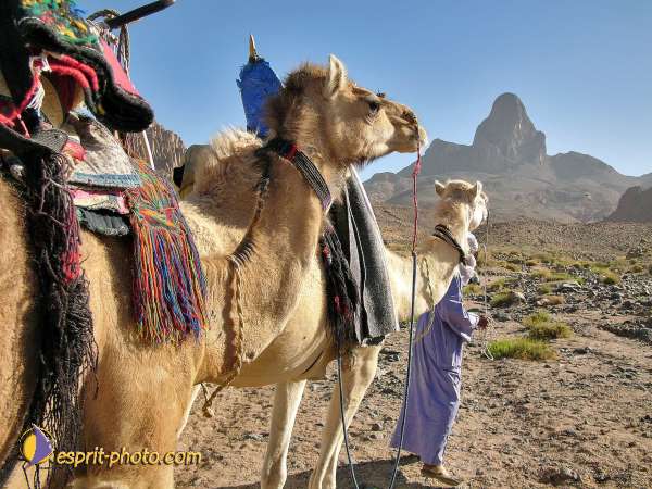 Nom de l'image : l1060549-1 — Description :  Sur les pas de Charles de Foucault - Tamanrasset-Assekrem