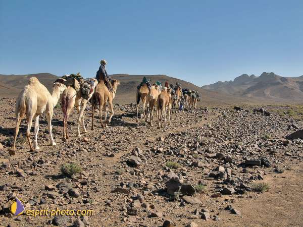 Nom de l'image : l1060716-1 — Description :  Sur les pas de Charles de Foucault - Tamanrasset-Assekrem