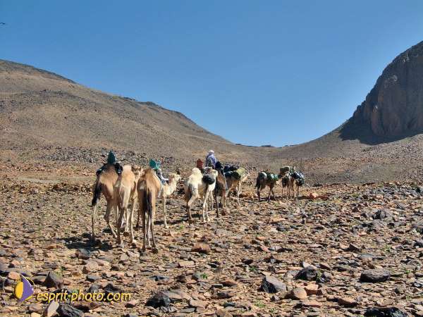 Nom de l'image : l1060749-1 — Description :  Sur les pas de Charles de Foucault - Tamanrasset-Assekrem