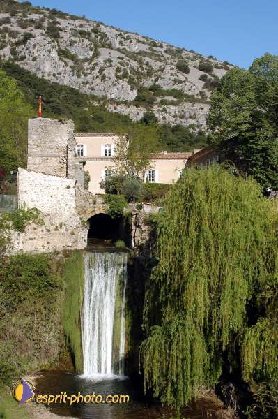 Nom de l'image : D1126810-01 — Description :