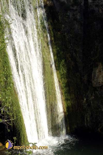 Nom de l'image : D1126822-01 — Description :