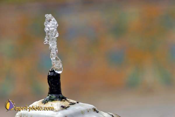 Nom de l'image : D1219654-1 — Description :  Pâques 2005 à Seville (Espagne-Andalusie)