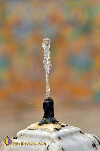 Nom de l'image : E00035054-1 — Description :  Pâques 2005 à Seville (Espagne-Andalusie)