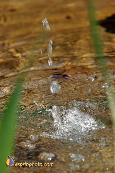 Nom de l'image : E00035128-1 — Description :  Pâques 2005 à Seville (Espagne-Andalusie)