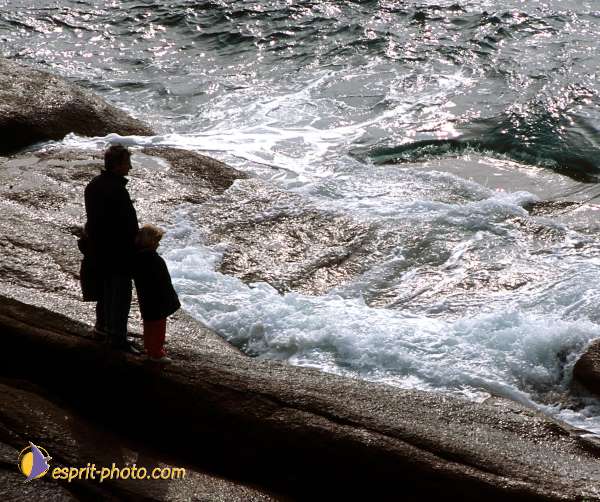 Nom de l'image : Illustration-0629 — Description :