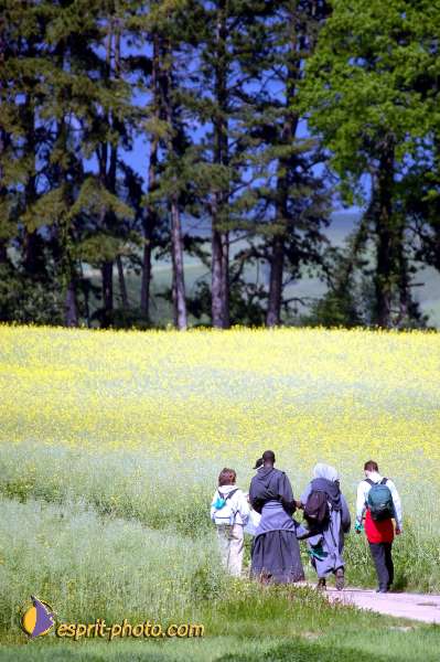 Nom de l'image : D1137401-01 — Description :