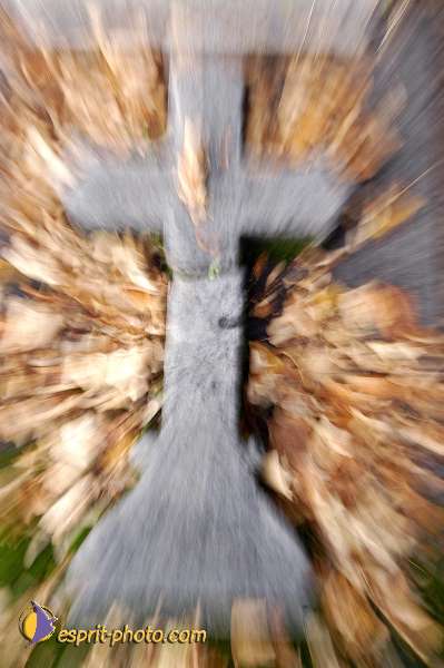 Nom de l'image : D1194055-1 — Description :  Cimetière Père Lachaise