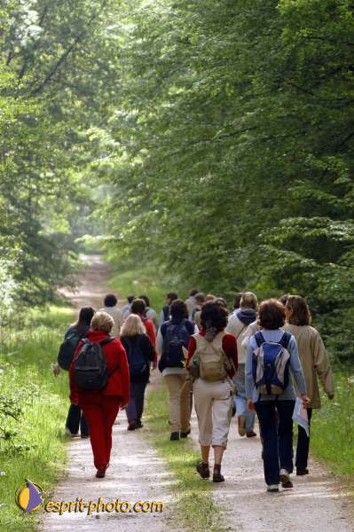 Nom de l'image : E079 — Description :