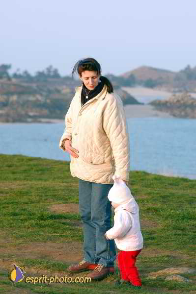 Nom de l'image : D1109924-01 — Description :