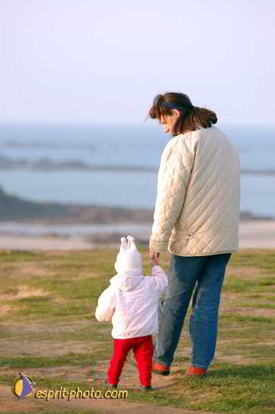 Nom de l'image : D1109930-01 — Description :