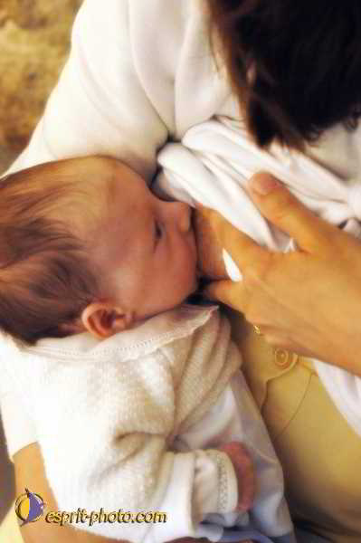 Nom de l'image : D1141669-01ad — Description :