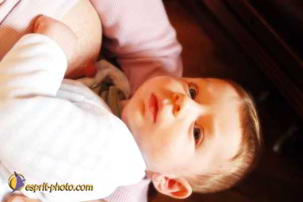 Nom de l'image : D1184246-1dc — Description :