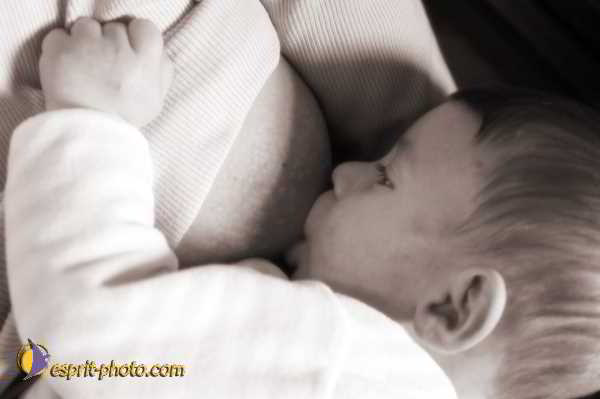 Nom de l'image : D1184266-1sp — Description :