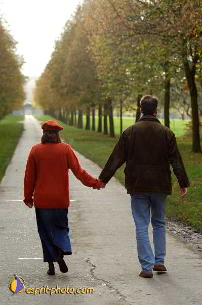 Nom de l'image : D1192467-1 — Description :  Paris - Toussaint 2004