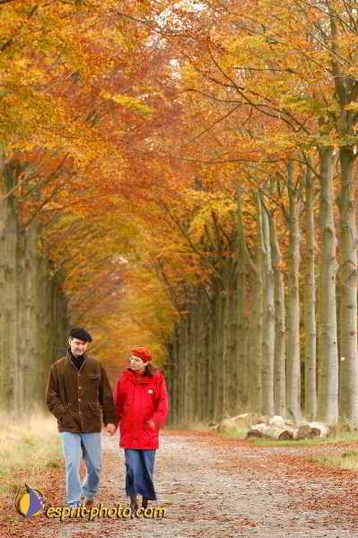 Nom de l'image : D1192621-1 — Description :  Paris - Toussaint 2004