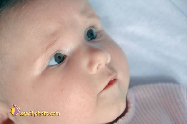 Nom de l'image : Bebe_0-6_Mois_D2240977_1 — Description :