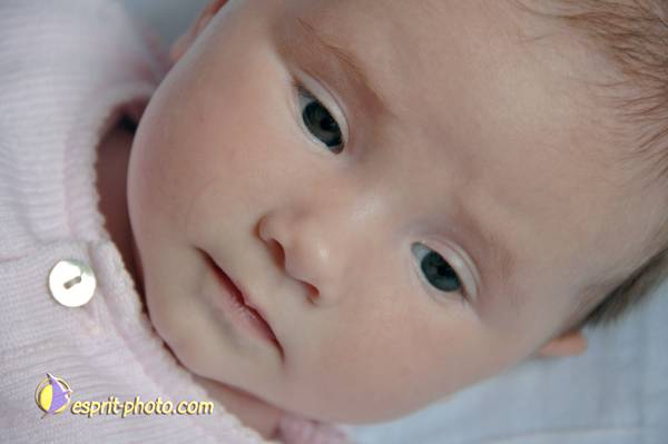 Nom de l'image : Bebe_0-6_Mois_D2240980_1 — Description :