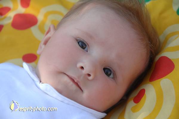 Nom de l'image : Bebe_0-6_Mois_DSC_6327 — Description :