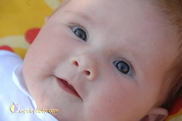 Nom de l'image : Bebe_0-6_Mois_DSC_6329 — Description :
