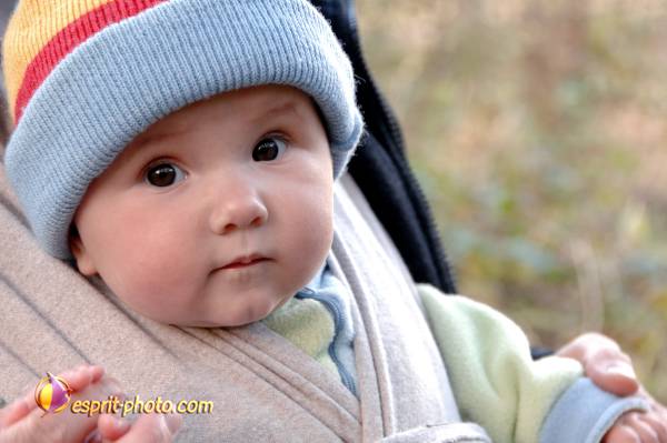 Nom de l'image : Bebe_6_Mois_E2067724_1 — Description :