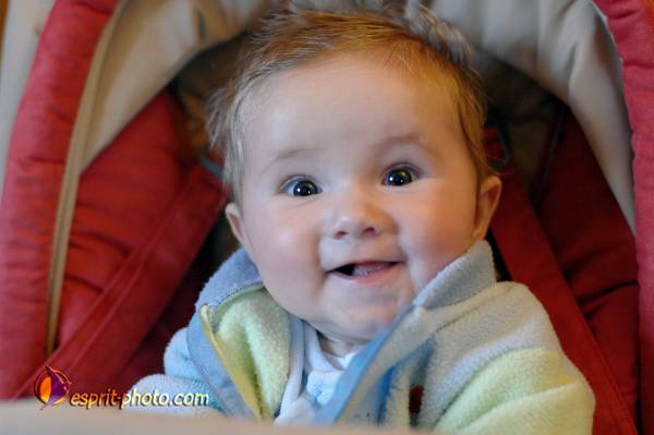 Nom de l'image : Bebe_6_Mois_E2067871_1 — Description :