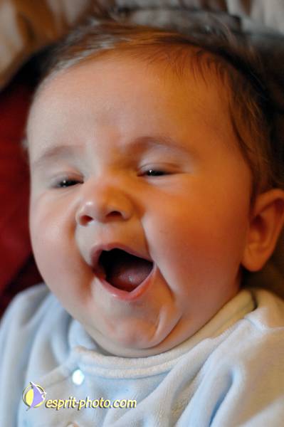 Nom de l'image : Bebe_6_Mois_E2067916_1 — Description :