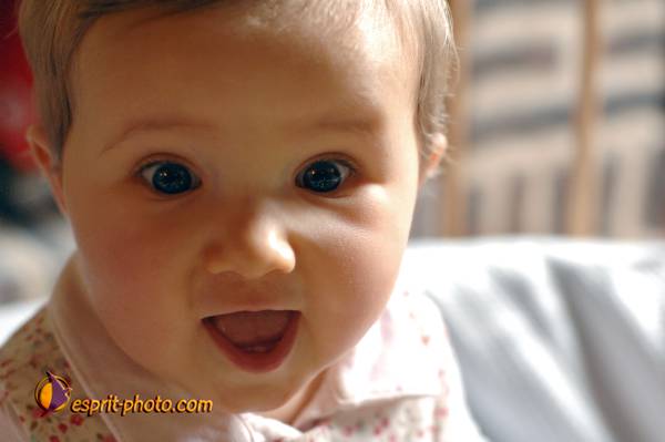 Nom de l'image : Bebe_6_Mois_E2068565_1 — Description :