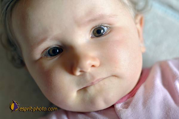 Nom de l'image : Bebe_9_Mois_D2258898_1 — Description :