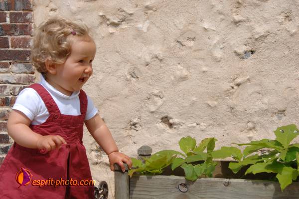 Nom de l'image : Bebe_12_Mois_D2X_0827 — Description :