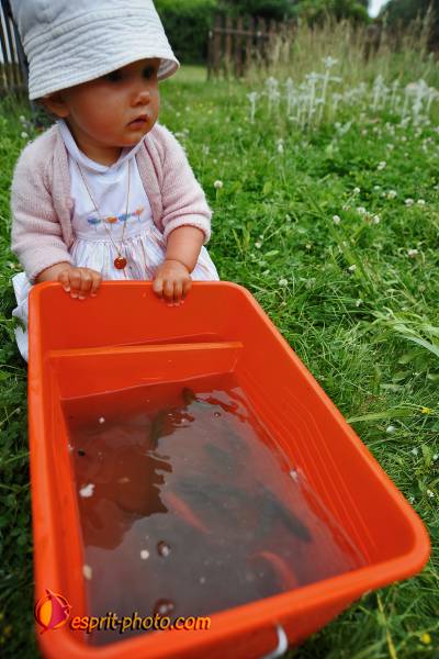 Nom de l'image : Bebe_12_Mois_D30009957_1 — Description :