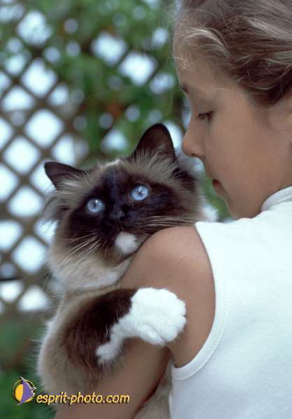 Nom de l'image : Enfant_Animaux_Famille-0184 — Description :