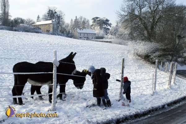Nom de l'image : Enfant_Animaux_Famille-0317 — Description :