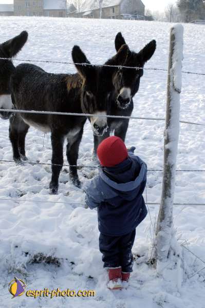 Nom de l'image : Enfant_Animaux_Famille-0318 — Description :