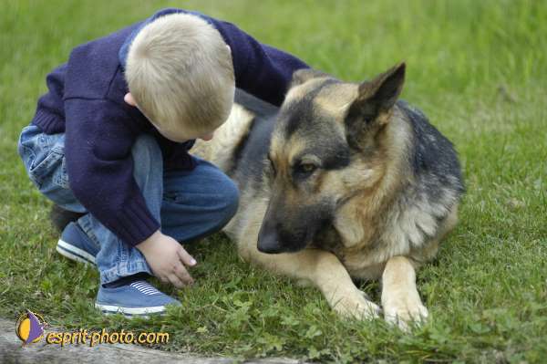 Nom de l'image : Enfant_Animaux_Famille-0346 — Description :