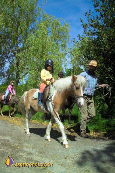 Nom de l'image : Enfant_Animaux_K1000979-01 — Description :