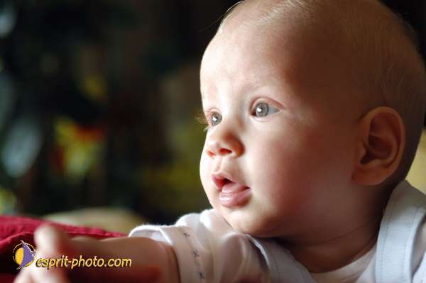 Nom de l'image : Enfant_Portrait_E00000563 — Description :