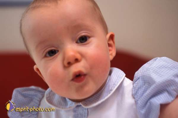 Nom de l'image : Enfant_Portrait_Famille-0261 — Description :