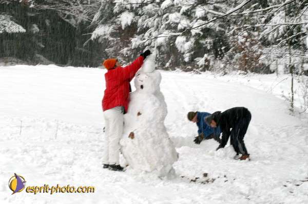 Nom de l'image : D1104811-01 — Description :