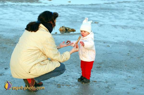 Nom de l'image : D1110031-01 — Description :