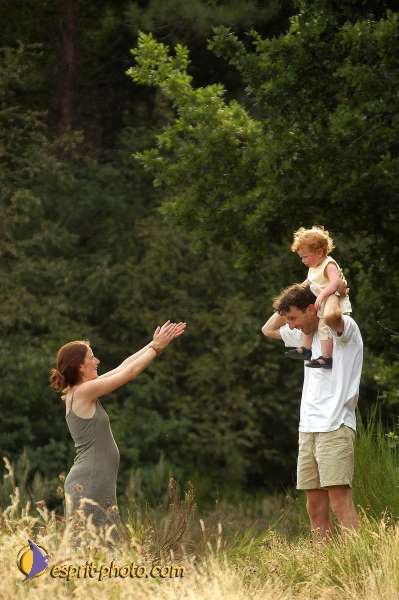 Nom de l'image : D1155319-01 — Description :