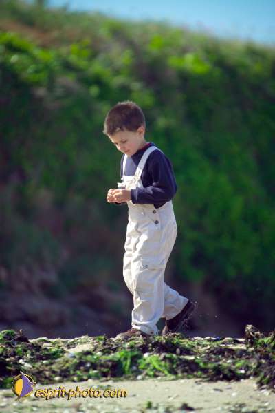 Nom de l'image : K1000862-01 — Description :