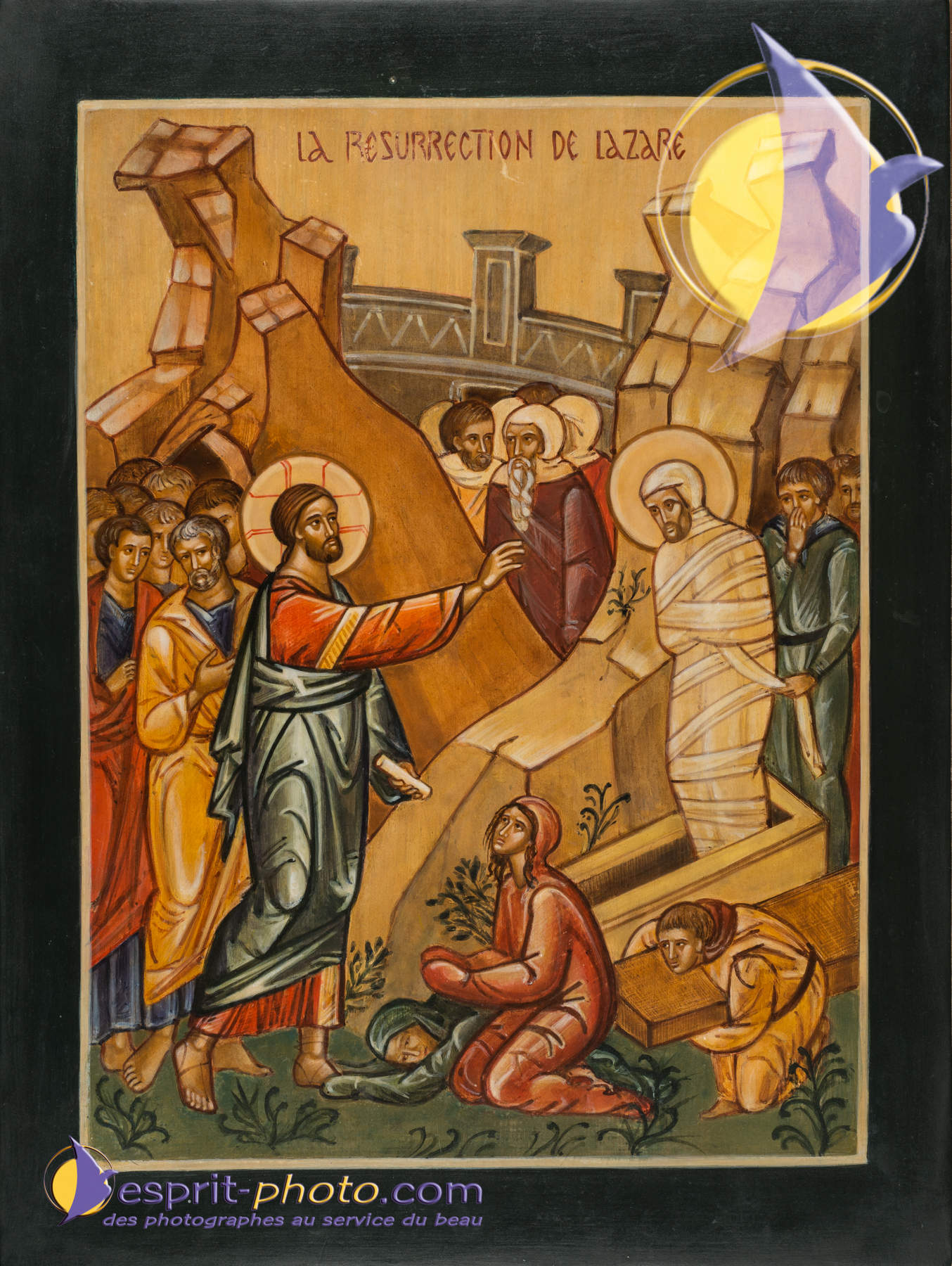 Nom de l'image : D8e009179_(c)Norbert-JUNG.com — Description :