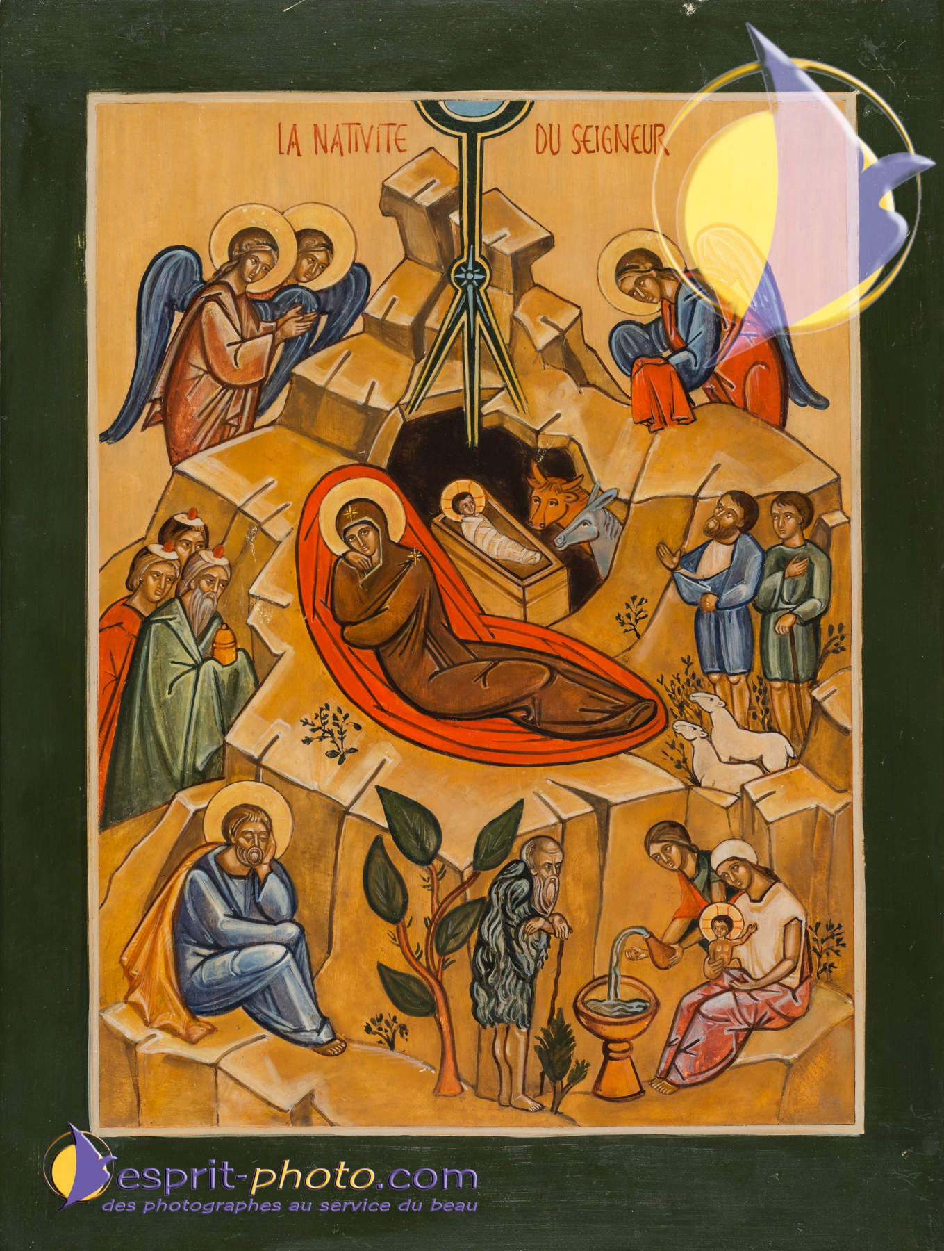 Nom de l'image : D8e009182_(c)Norbert-JUNG.com — Description :