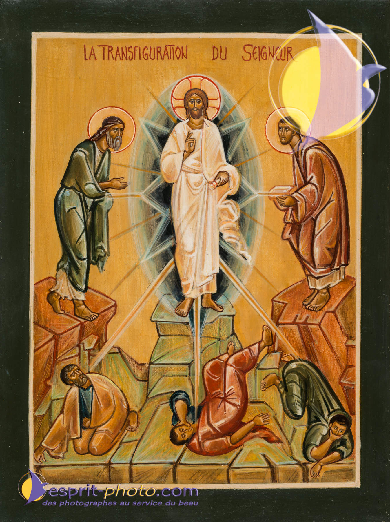 Nom de l'image : D8e009195_(c)Norbert-JUNG.com — Description :