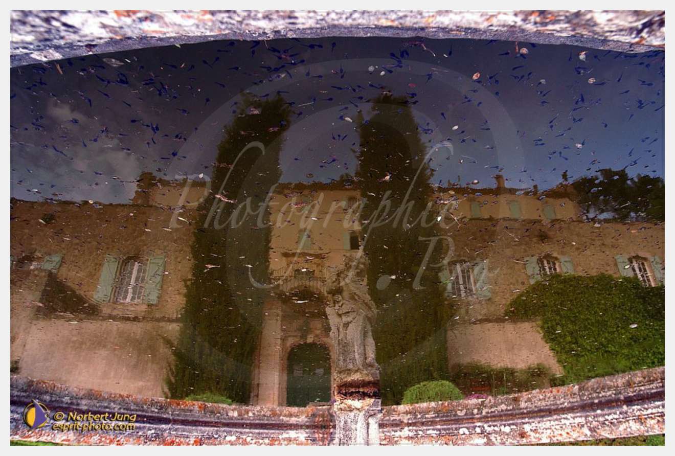 Nom de l'image : D1035034-01 — Description :