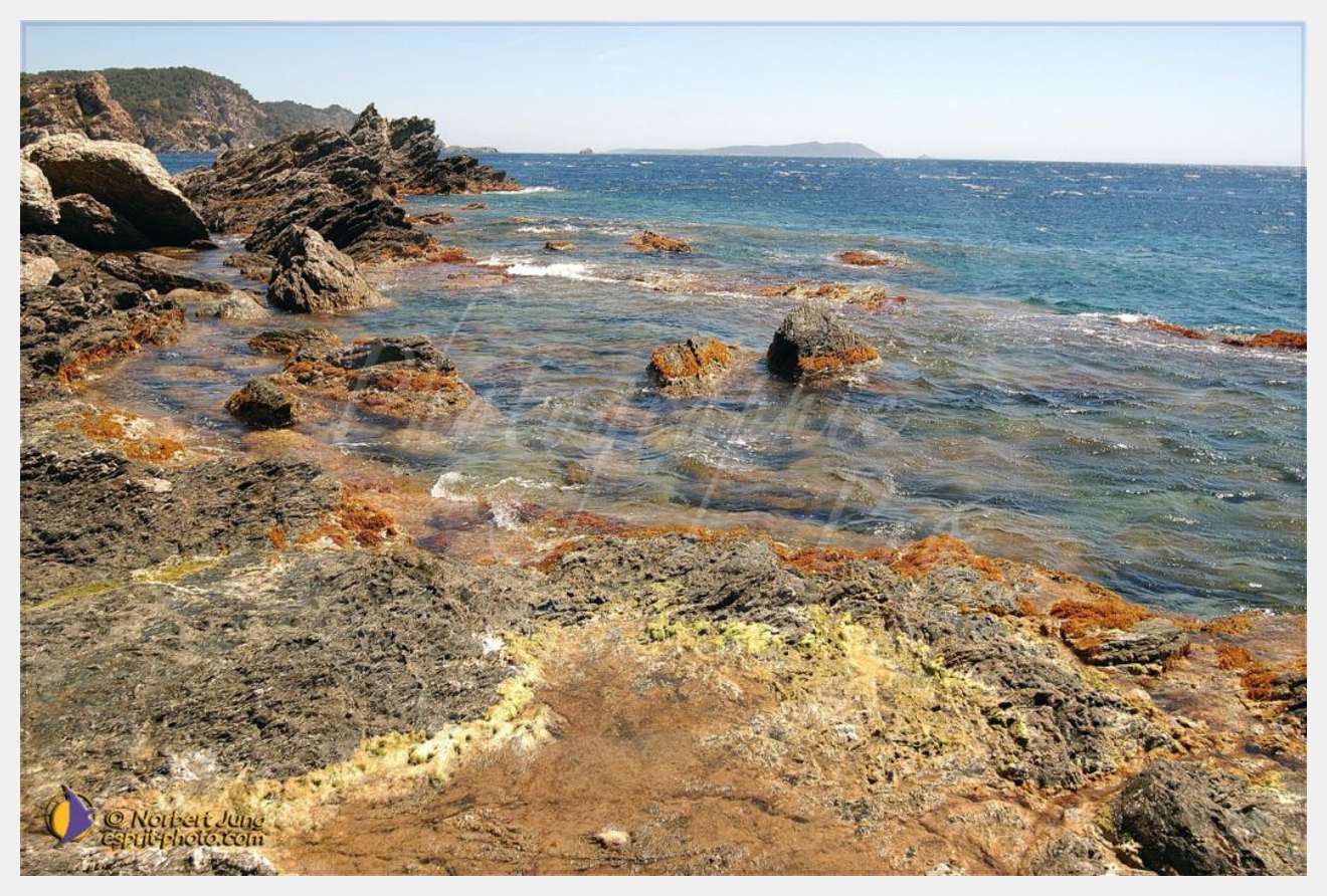 Nom de l'image : D1055293-nef-sel-01 — Description :