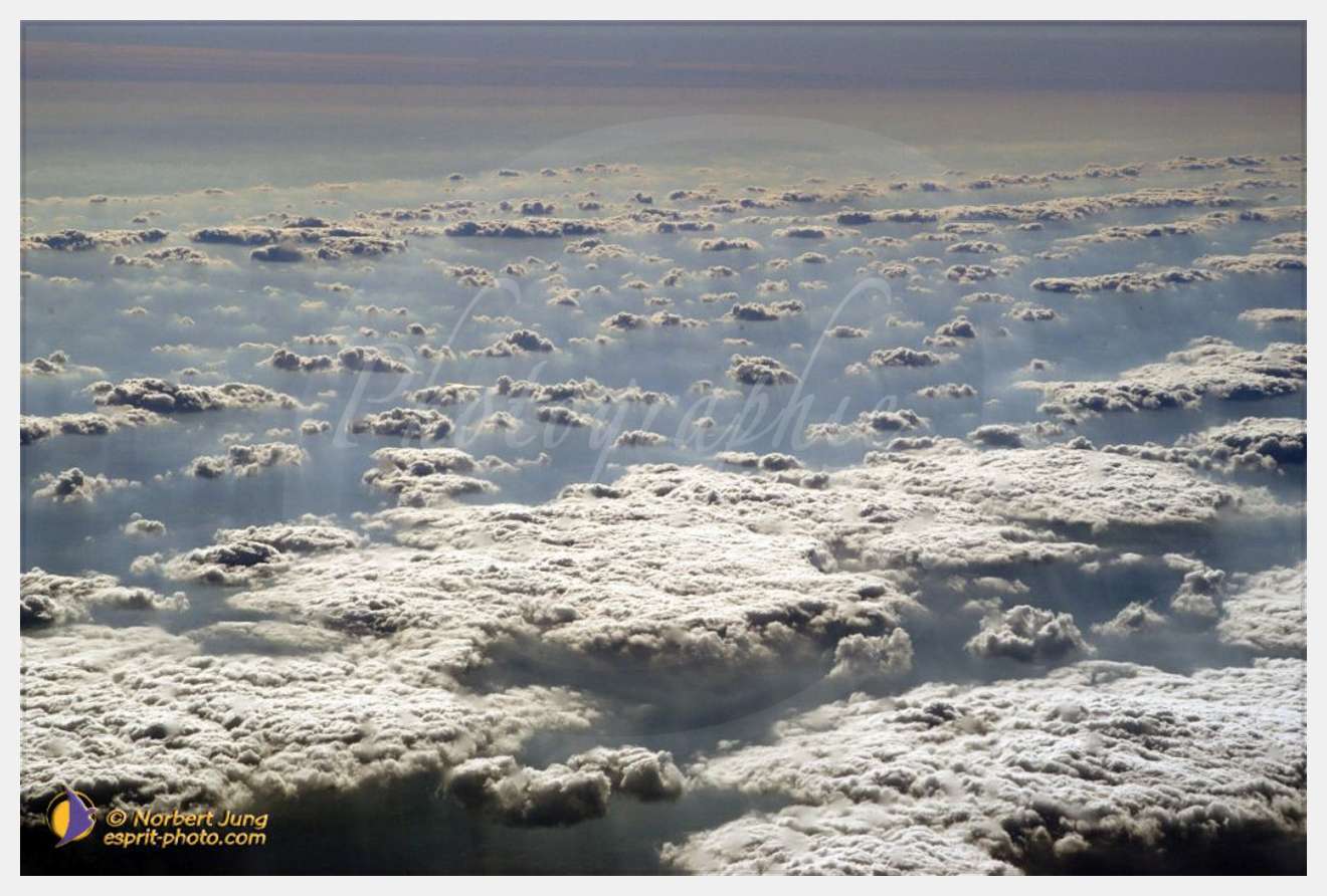 Nom de l'image : D1081342-nef — Description :