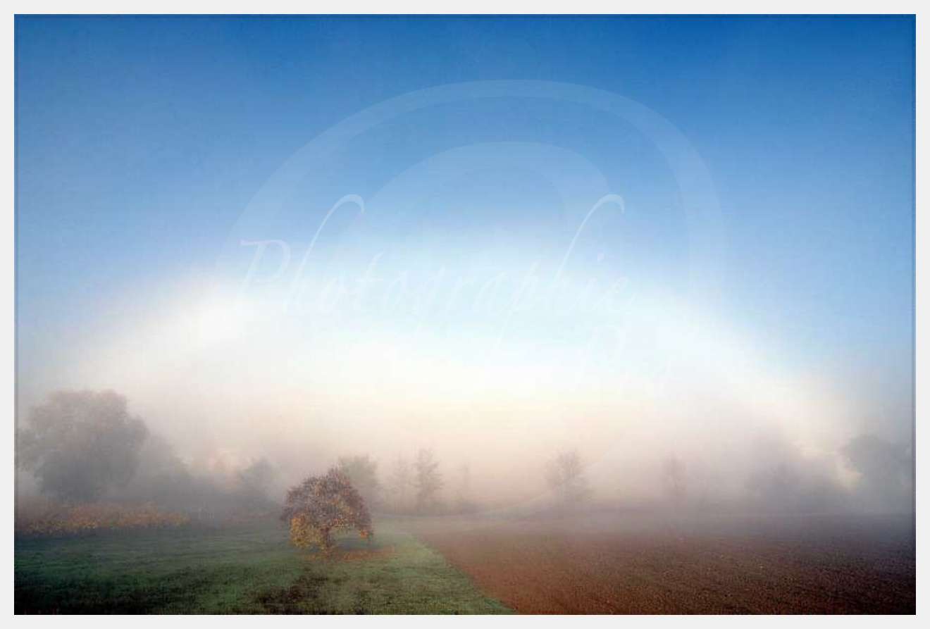 Nom de l'image : D1087116-nef-01 — Description :