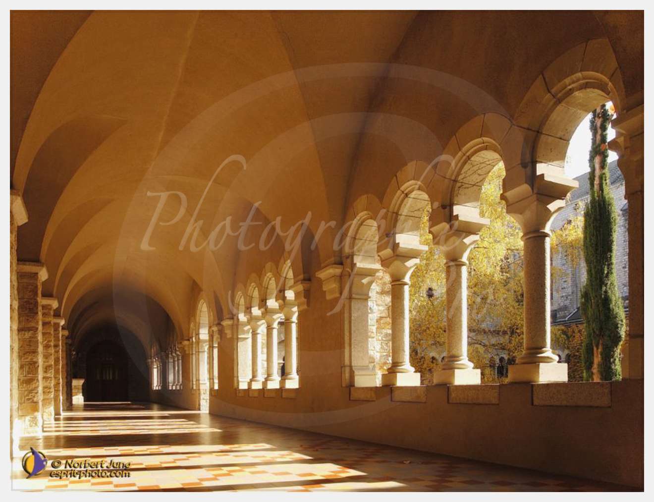 Nom de l'image : D1088470-nef-02-01 — Description :